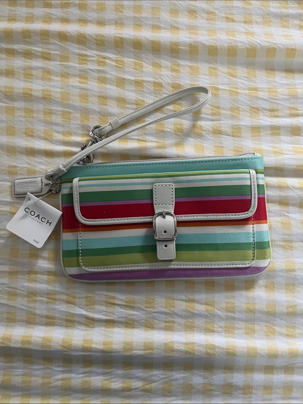 Coach | Hamptons Stripe Large Wristlet